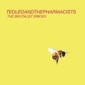 Ted Leo & The Pharmacists – «The Brutalist Bricks»